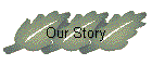 Our Story