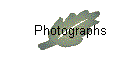 Photographs